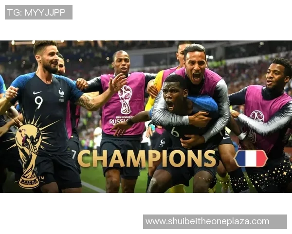 法国足球明星星座排名及其影响力分析一览