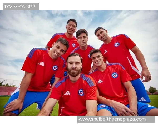 智利足球国家队明星球员名单及历史贡献解析 智利足球国家队明星球员名单及历史贡献解析