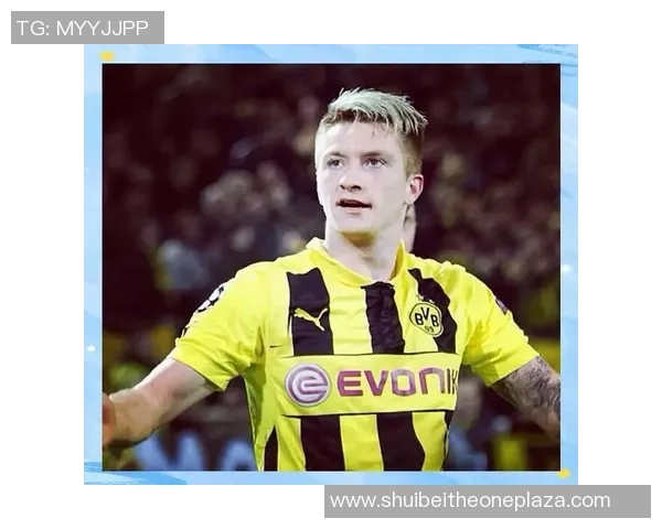 聚焦绿茵传奇非欧洲球星的崛起与世界足坛影响力探索