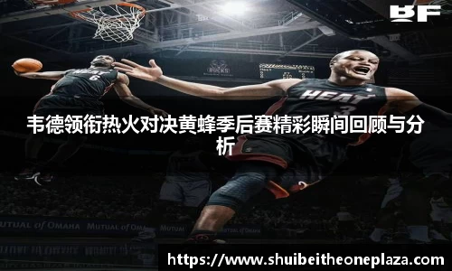 韦德领衔热火对决黄蜂季后赛精彩瞬间回顾与分析