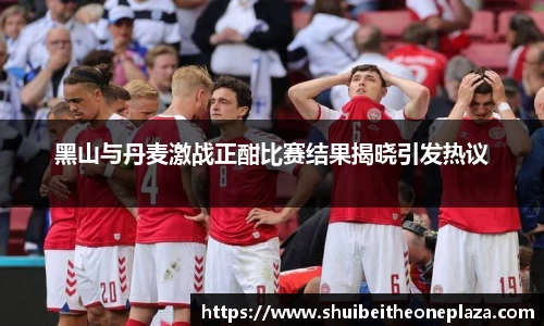 黑山与丹麦激战正酣比赛结果揭晓引发热议