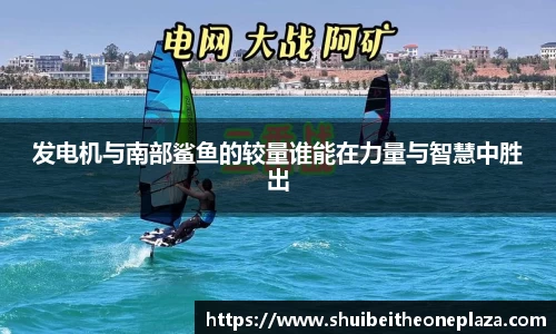 球王会官网